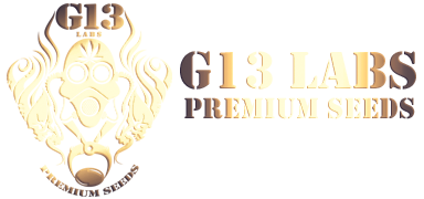 G13 Labs Logo