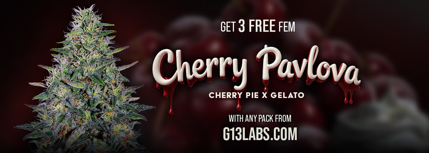 G13 Labs Promo